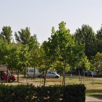 Camping